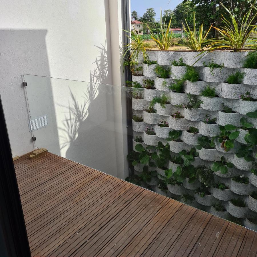 Isatour -Natural Park House Vouzela Ngoại thất bức ảnh